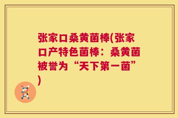 张家口桑黄菌棒(张家口产特色菌棒:桑黄菌被誉为“天下第一菌”) 张家口桑黄菌棒(张家口产特色菌棒:桑黄菌被誉为“天下第一菌”)