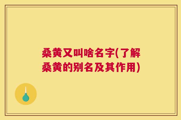 桑黄又叫啥名字(了解桑黄的别名及其作用) 桑黄又叫啥名字(了解桑黄的别名及其作用)