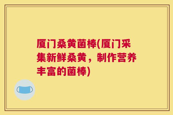 厦门桑黄菌棒(厦门采集新鲜桑黄,制作营养丰富的菌棒) 厦门桑黄菌棒(厦门采集新鲜桑黄,制作营养丰富的菌棒)