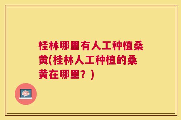 桂林哪里有人工种植桑黄(桂林人工种植的桑黄在哪里?) 桂林哪里有人工种植桑黄(桂林人工种植的桑黄在哪里?)