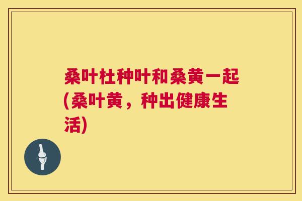 桑叶杜种叶和桑黄一起(桑叶黄，种出健康生活)