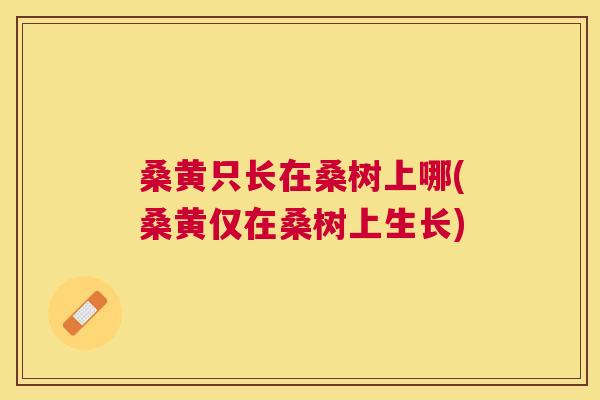 桑黄只长在桑树上哪(桑黄仅在桑树上生长) 桑黄只长在桑树上哪(桑黄仅在桑树上生长)