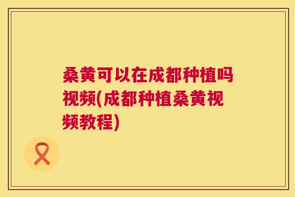 桑黄可以在成都种植吗视频(成都种植桑黄视频教程) 桑黄可以在成都种植吗视频(成都种植桑黄视频教程)