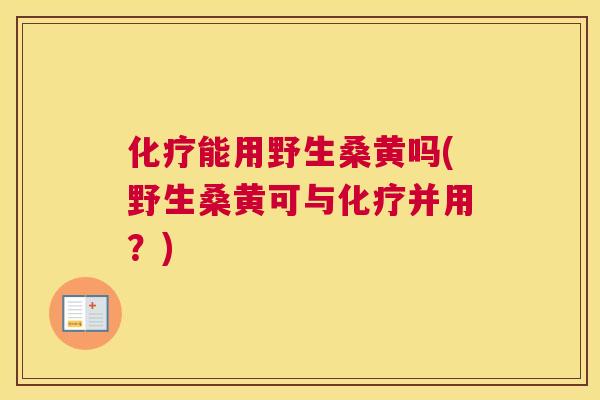 能用野生桑黄吗(野生桑黄可与并用?) 能用野生桑黄吗(野生桑黄可与并用?)