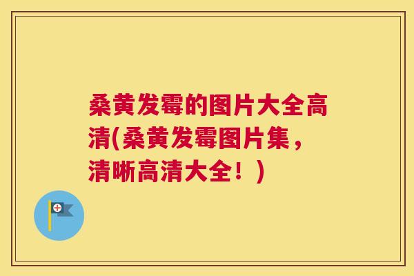 桑黄发霉的图片大全高清(桑黄发霉图片集,清晰高清大全!) 桑黄发霉的图片大全高清(桑黄发霉图片集,清晰高清大全!)