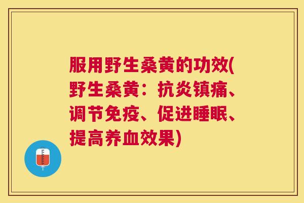 服用野生桑黄的功效(野生桑黄:、调节、促进、提高效果) 服用野生桑黄的功效(野生桑黄:、调节、促进、提高效果)
