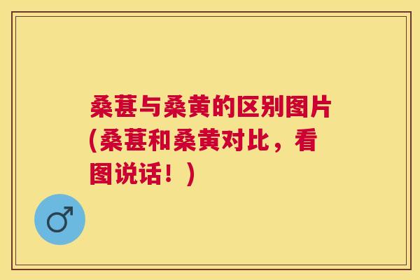 桑葚与桑黄的区别图片(桑葚和桑黄对比，看图说话！)