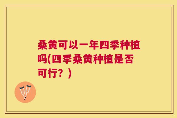 桑黄可以一年四季种植吗(四季桑黄种植是否可行?) 桑黄可以一年四季种植吗(四季桑黄种植是否可行?)