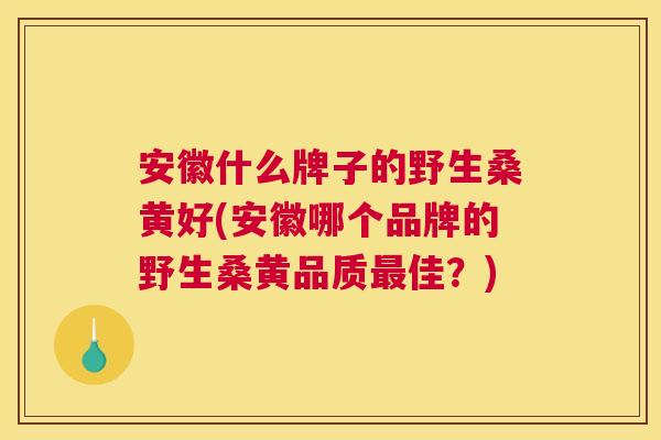 安徽什么牌子的野生桑黄好(安徽哪个品牌的野生桑黄品质佳?) 安徽什么牌子的野生桑黄好(安徽哪个品牌的野生桑黄品质佳?)