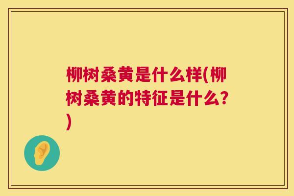 柳树桑黄是什么样(柳树桑黄的特征是什么?) 柳树桑黄是什么样(柳树桑黄的特征是什么?)