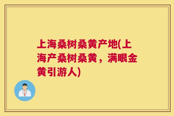 上海桑树桑黄产地(上海产桑树桑黄,满眼金黄引游人) 上海桑树桑黄产地(上海产桑树桑黄,满眼金黄引游人)