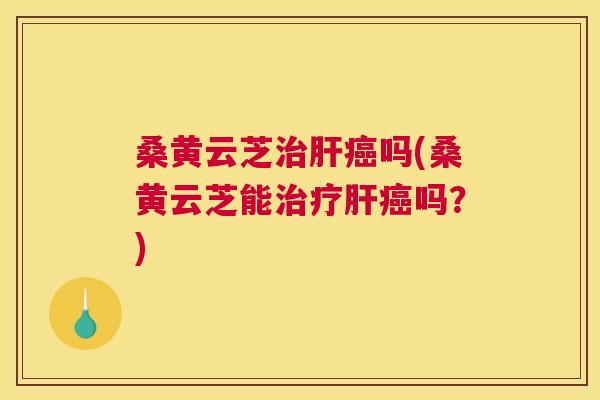 桑黄云芝吗(桑黄云芝能吗?) 桑黄云芝吗(桑黄云芝能吗?)