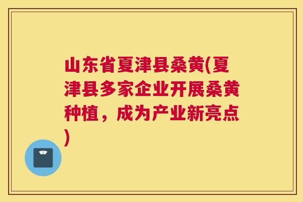 山东省夏津县桑黄(夏津县多家企业开展桑黄种植,成为产业新亮点) 山东省夏津县桑黄(夏津县多家企业开展桑黄种植,成为产业新亮点)