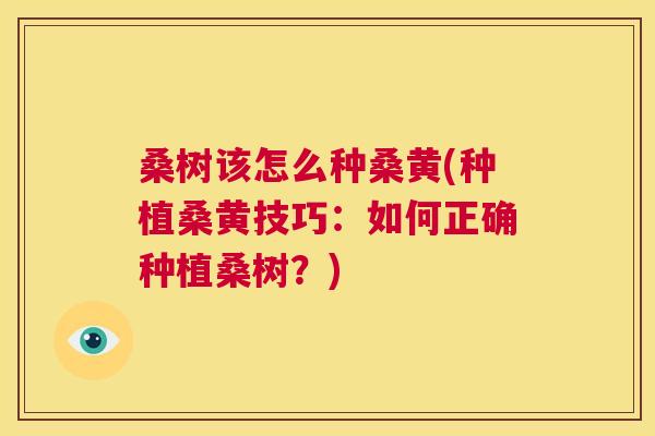 桑树该怎么种桑黄(种植桑黄技巧:如何正确种植桑树?) 桑树该怎么种桑黄(种植桑黄技巧:如何正确种植桑树?)