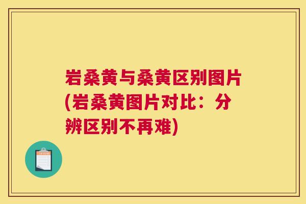 岩桑黄与桑黄区别图片(岩桑黄图片对比:分辨区别不再难) 岩桑黄与桑黄区别图片(岩桑黄图片对比:分辨区别不再难)
