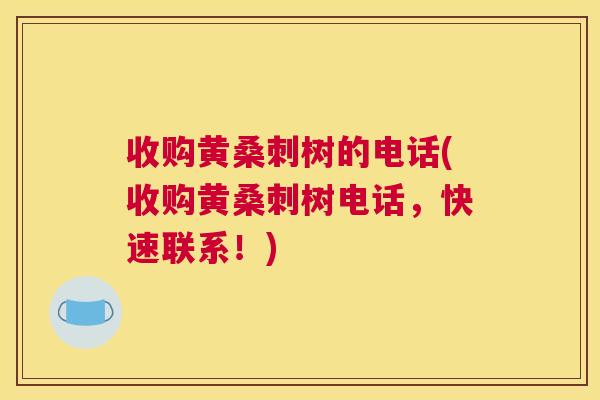 收购黄桑刺树的电话(收购黄桑刺树电话,快速联系!) 收购黄桑刺树的电话(收购黄桑刺树电话,快速联系!)