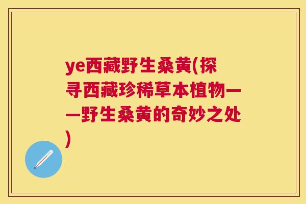 ye西藏野生桑黄(探寻西藏珍稀草本植物——野生桑黄的奇妙之处) ye西藏野生桑黄(探寻西藏珍稀草本植物——野生桑黄的奇妙之处)