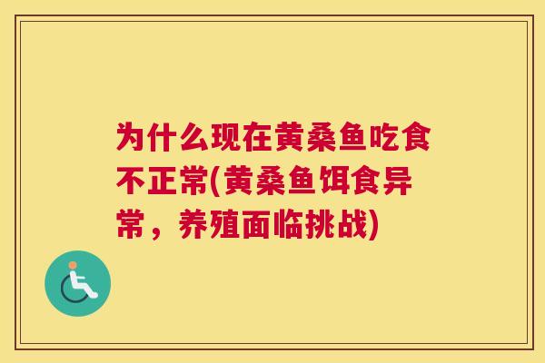 为什么现在黄桑鱼吃食不正常(黄桑鱼饵食异常,养殖面临挑战) 为什么现在黄桑鱼吃食不正常(黄桑鱼饵食异常,养殖面临挑战)
