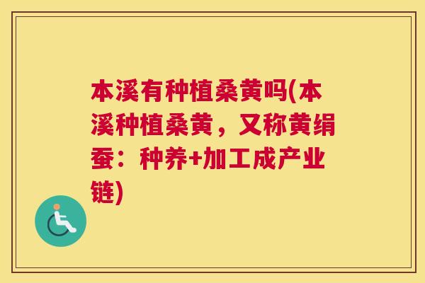 本溪有种植桑黄吗(本溪种植桑黄,又称黄绢蚕:种养+加工成产业链) 本溪有种植桑黄吗(本溪种植桑黄,又称黄绢蚕:种养+加工成产业链)