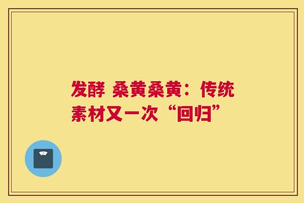 发酵 桑黄桑黄:传统素材又一次“回归” 发酵 桑黄桑黄:传统素材又一次“回归”