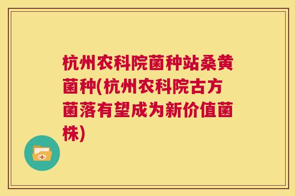杭州农科院菌种站桑黄菌种(杭州农科院古方菌落有望成为新价值菌株) 杭州农科院菌种站桑黄菌种(杭州农科院古方菌落有望成为新价值菌株)
