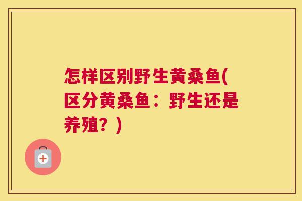 怎样区别野生黄桑鱼(区分黄桑鱼:野生还是养殖?) 怎样区别野生黄桑鱼(区分黄桑鱼:野生还是养殖?)