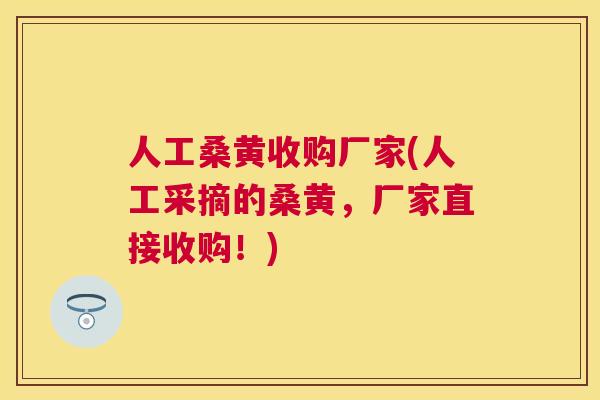 人工桑黄收购厂家(人工采摘的桑黄,厂家直接收购!) 人工桑黄收购厂家(人工采摘的桑黄,厂家直接收购!)