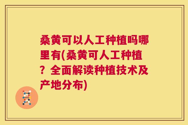 桑黄可以人工种植吗哪里有(桑黄可人工种植?全面解读种植技术及产地分布) 桑黄可以人工种植吗哪里有(桑黄可人工种植?全面解读种植技术及产地分布)