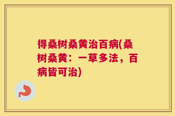 得桑树桑黄百(桑树桑黄:一草多法,百皆可) 得桑树桑黄百(桑树桑黄:一草多法,百皆可)