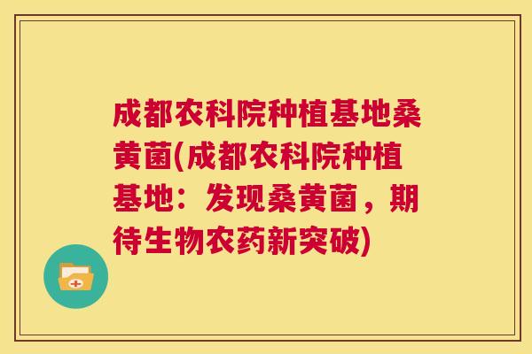成都农科院种植基地桑黄菌(成都农科院种植基地:发现桑黄菌,期待生物农药新突破) 成都农科院种植基地桑黄菌(成都农科院种植基地:发现桑黄菌,期待生物农药新突破)