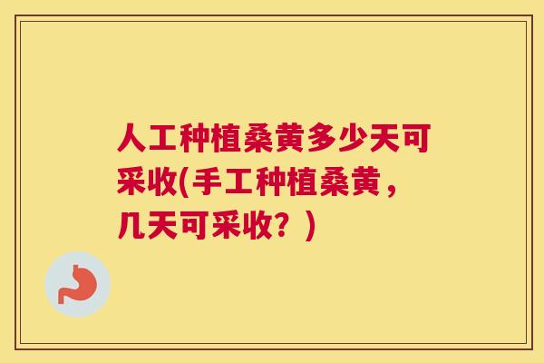 人工种植桑黄多少天可采收(手工种植桑黄,几天可采收?) 人工种植桑黄多少天可采收(手工种植桑黄,几天可采收?)