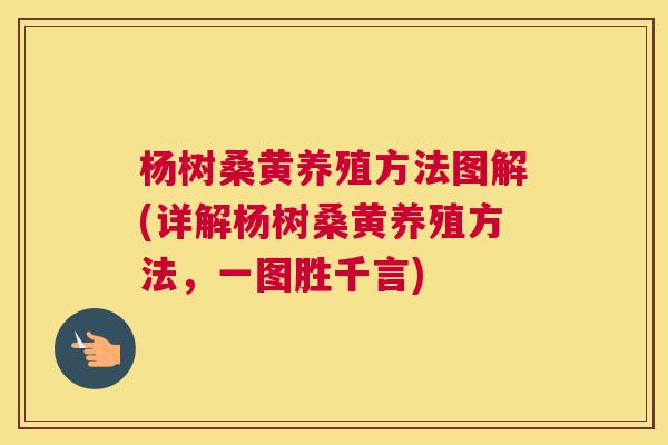 杨树桑黄养殖方法图解(详解杨树桑黄养殖方法,一图胜千言) 杨树桑黄养殖方法图解(详解杨树桑黄养殖方法,一图胜千言)