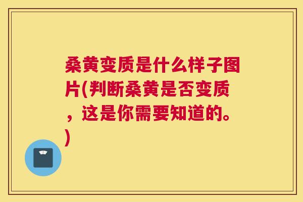 桑黄变质是什么样子图片(判断桑黄是否变质,这是你需要知道的。) 桑黄变质是什么样子图片(判断桑黄是否变质,这是你需要知道的。)