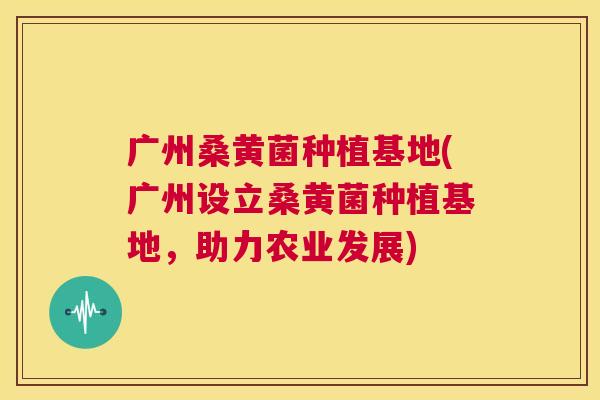 广州桑黄菌种植基地(广州设立桑黄菌种植基地,助力农业发展) 广州桑黄菌种植基地(广州设立桑黄菌种植基地,助力农业发展)