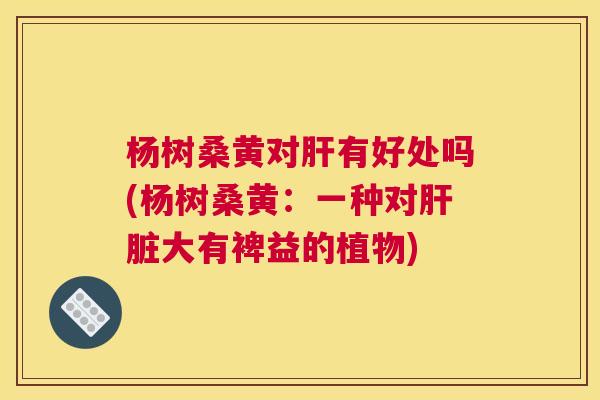 杨树桑黄对有好处吗(杨树桑黄:一种对大有裨益的植物) 杨树桑黄对有好处吗(杨树桑黄:一种对大有裨益的植物)