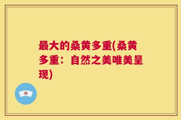 大的桑黄多重(桑黄多重:自然之美唯美呈现) 大的桑黄多重(桑黄多重:自然之美唯美呈现)
