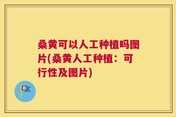 桑黄可以人工种植吗图片(桑黄人工种植:可行性及图片) 桑黄可以人工种植吗图片(桑黄人工种植:可行性及图片)