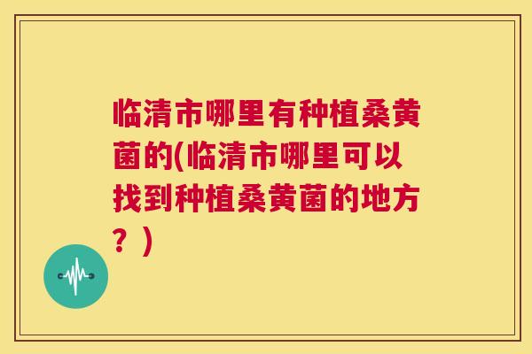 临清市哪里有种植桑黄菌的(临清市哪里可以找到种植桑黄菌的地方?) 临清市哪里有种植桑黄菌的(临清市哪里可以找到种植桑黄菌的地方?)