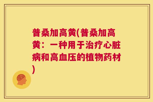 普桑加高黄(普桑加高黄:一种用于和高的植物药材) 普桑加高黄(普桑加高黄:一种用于和高的植物药材)