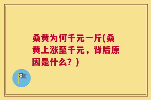 桑黄为何千元一斤(桑黄上涨至千元,背后原因是什么?) 桑黄为何千元一斤(桑黄上涨至千元,背后原因是什么?)