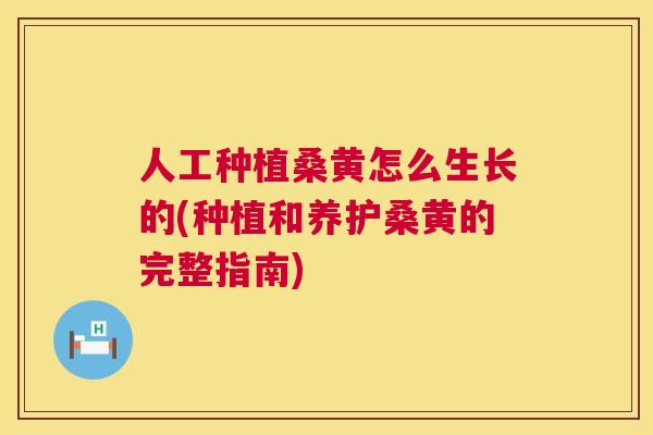 人工种植桑黄怎么生长的(种植和养护桑黄的完整指南) 人工种植桑黄怎么生长的(种植和养护桑黄的完整指南)