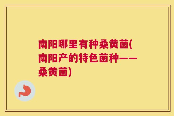 南阳哪里有种桑黄菌(南阳产的特色菌种——桑黄菌) 南阳哪里有种桑黄菌(南阳产的特色菌种——桑黄菌)