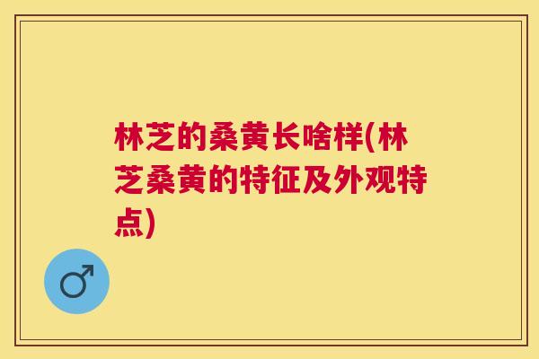 林芝的桑黄长啥样(林芝桑黄的特征及外观特点)