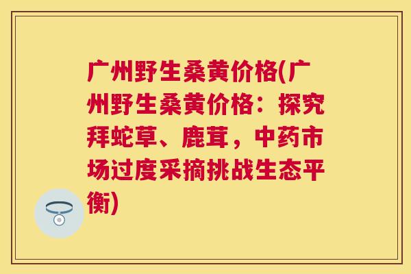广州野生桑黄价格(广州野生桑黄价格:探究拜蛇草、鹿茸,市场过度采摘挑战生态平衡) 广州野生桑黄价格(广州野生桑黄价格:探究拜蛇草、鹿茸,市场过度采摘挑战生态平衡)