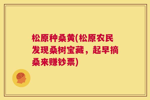 松原种桑黄(松原农民发现桑树宝藏,起早摘桑来赚钞票) 松原种桑黄(松原农民发现桑树宝藏,起早摘桑来赚钞票)