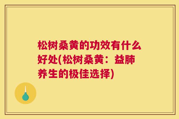 松树桑黄的功效有什么好处(松树桑黄:益养生的极佳选择) 松树桑黄的功效有什么好处(松树桑黄:益养生的极佳选择)