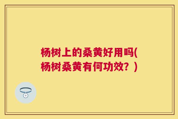杨树上的桑黄好用吗(杨树桑黄有何功效?) 杨树上的桑黄好用吗(杨树桑黄有何功效?)