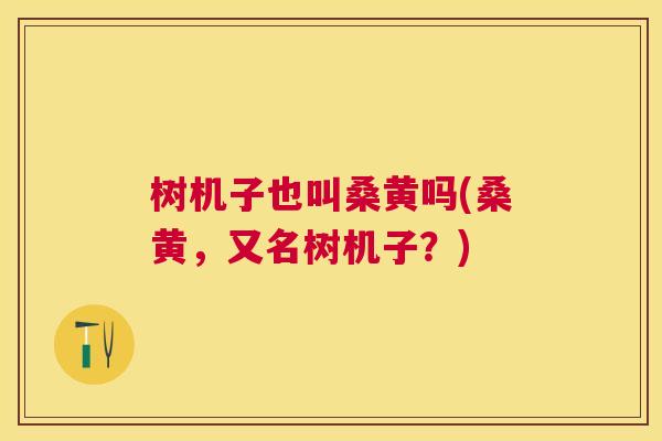 树机子也叫桑黄吗(桑黄，又名树机子？)