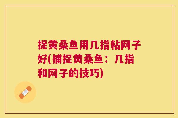 捉黄桑鱼用几指粘网子好(捕捉黄桑鱼:几指和网子的技巧) 捉黄桑鱼用几指粘网子好(捕捉黄桑鱼:几指和网子的技巧)