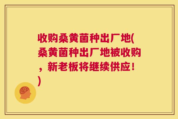 收购桑黄菌种出厂地(桑黄菌种出厂地被收购,新老板将继续供应!) 收购桑黄菌种出厂地(桑黄菌种出厂地被收购,新老板将继续供应!)